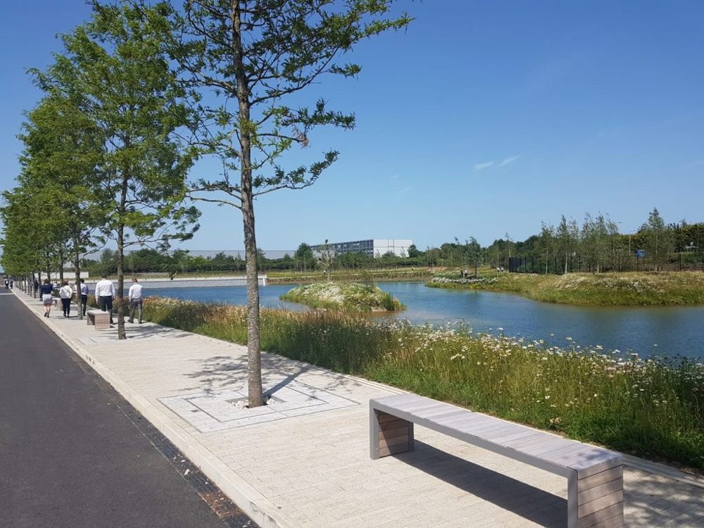 Green space at JLR gaydon showing street furniture and planting