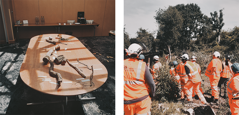 Ground Control Arboricultural Awareness training 2022