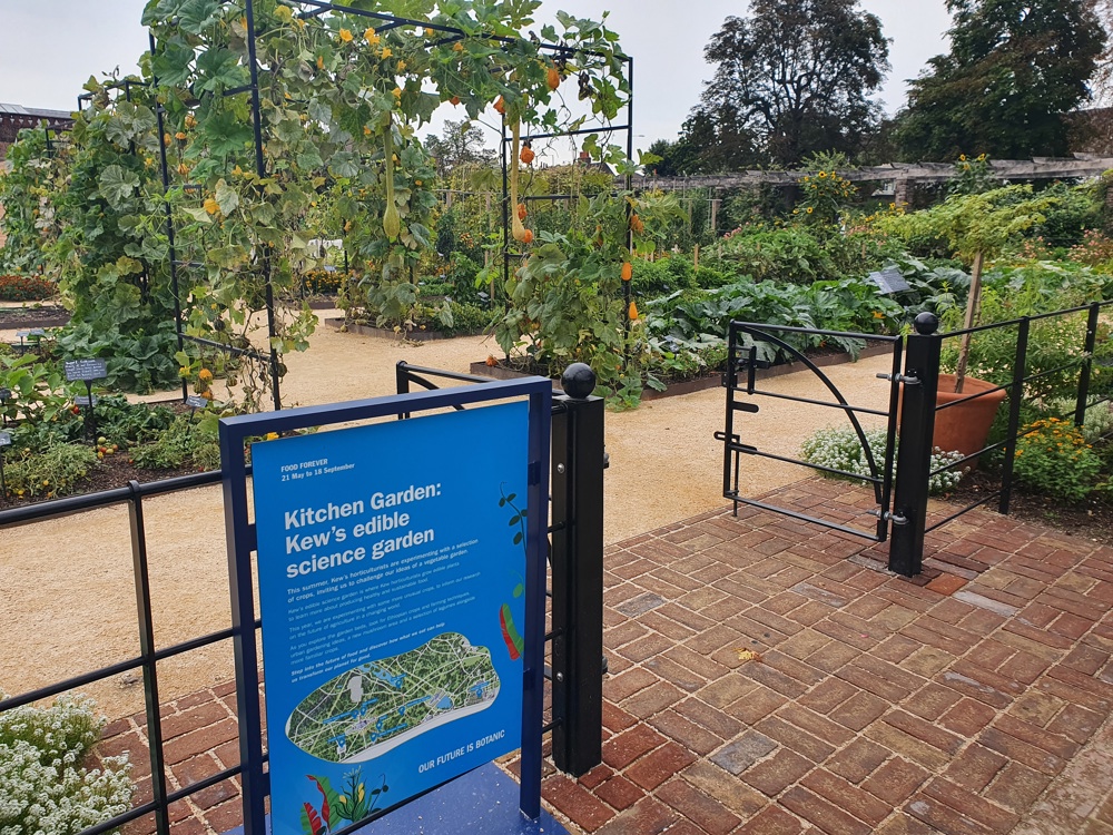 Entrance to the edible science garden