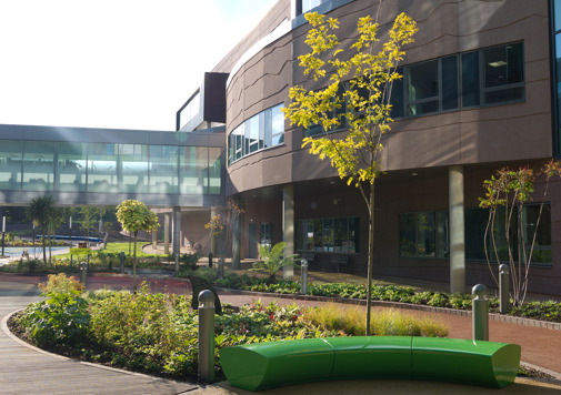 Alder Hey Hospital Tranquility Garden