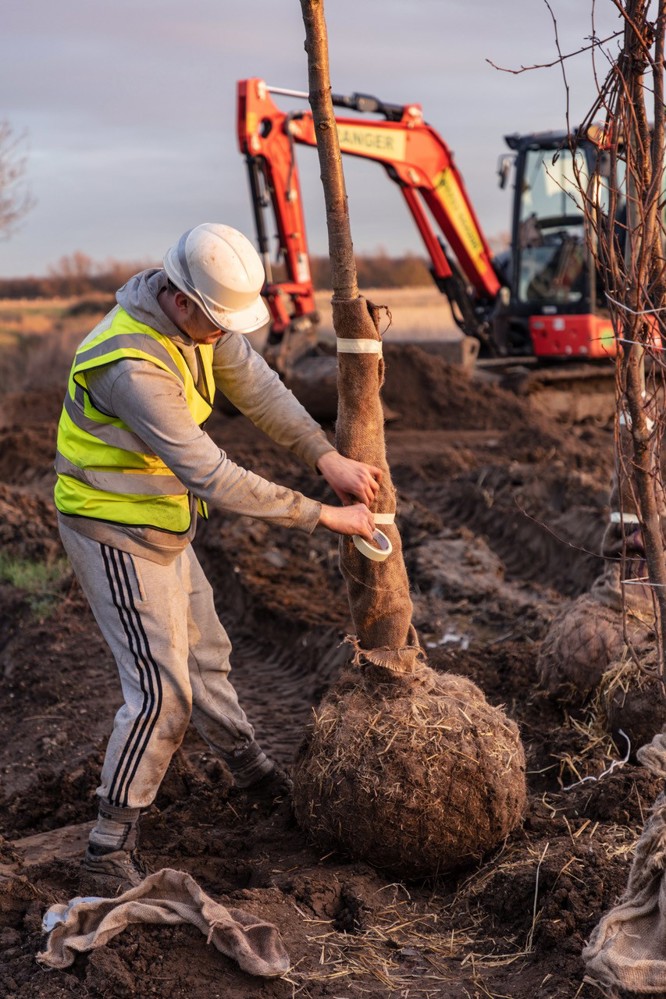 Tree planting at Waterbeach