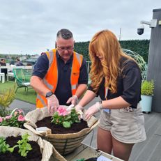 Creating hanging baskets